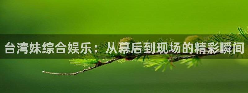 天狮娱乐：台湾妹综合娱乐：从幕后到现场的精彩瞬间