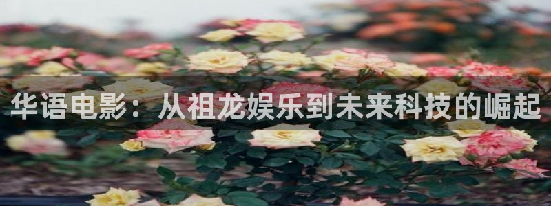 天狮娱乐：华语电影：从祖龙娱乐到未来科技的崛起
