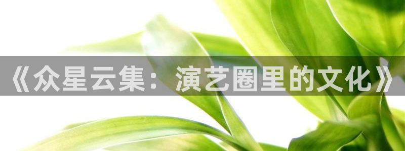 天狮娱乐：《众星云集：演艺圈里的文化》