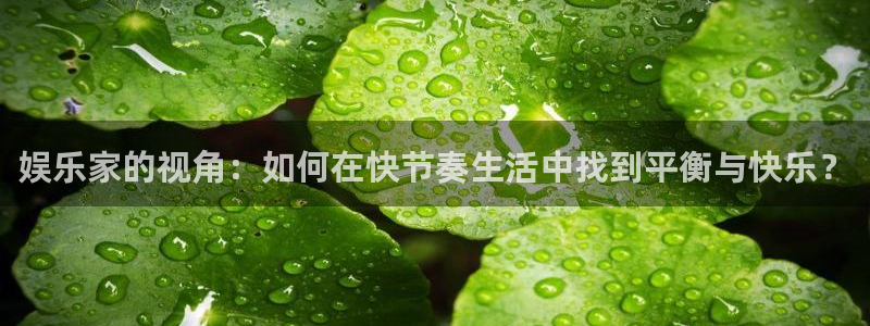 天狮娱乐：娱乐家的视角：如何在快节奏生活中找到平衡与快乐？