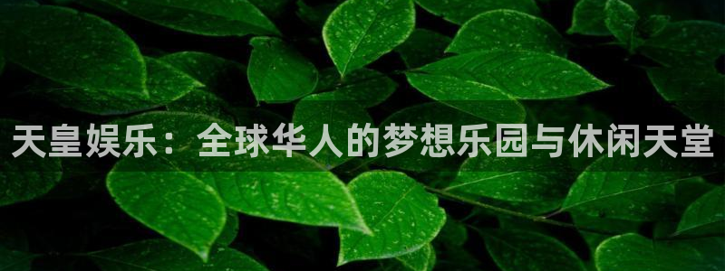 天狮娱乐：天皇娱乐：全球华人的梦想乐园与休闲天堂