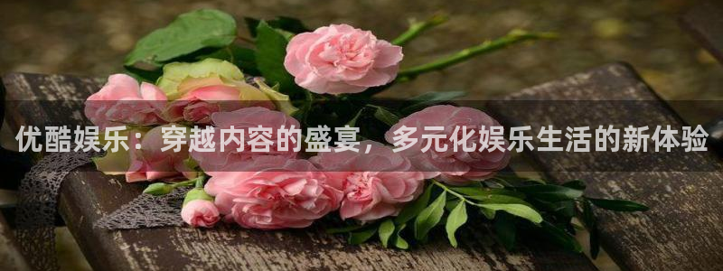 天狮娱乐：优酷娱乐：穿越内容的盛宴，多元化娱乐生活的新体验