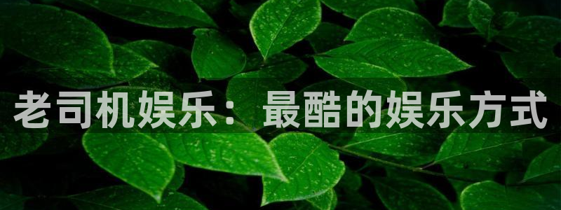 天狮娱乐：老司机娱乐：最酷的娱乐方式